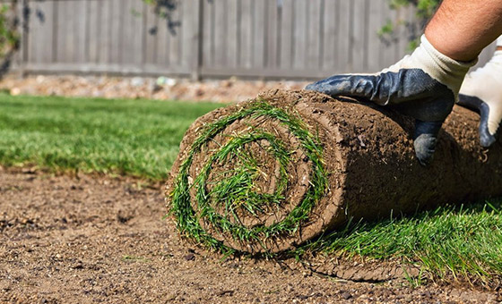 Services new lawn installations lawn repairs 1