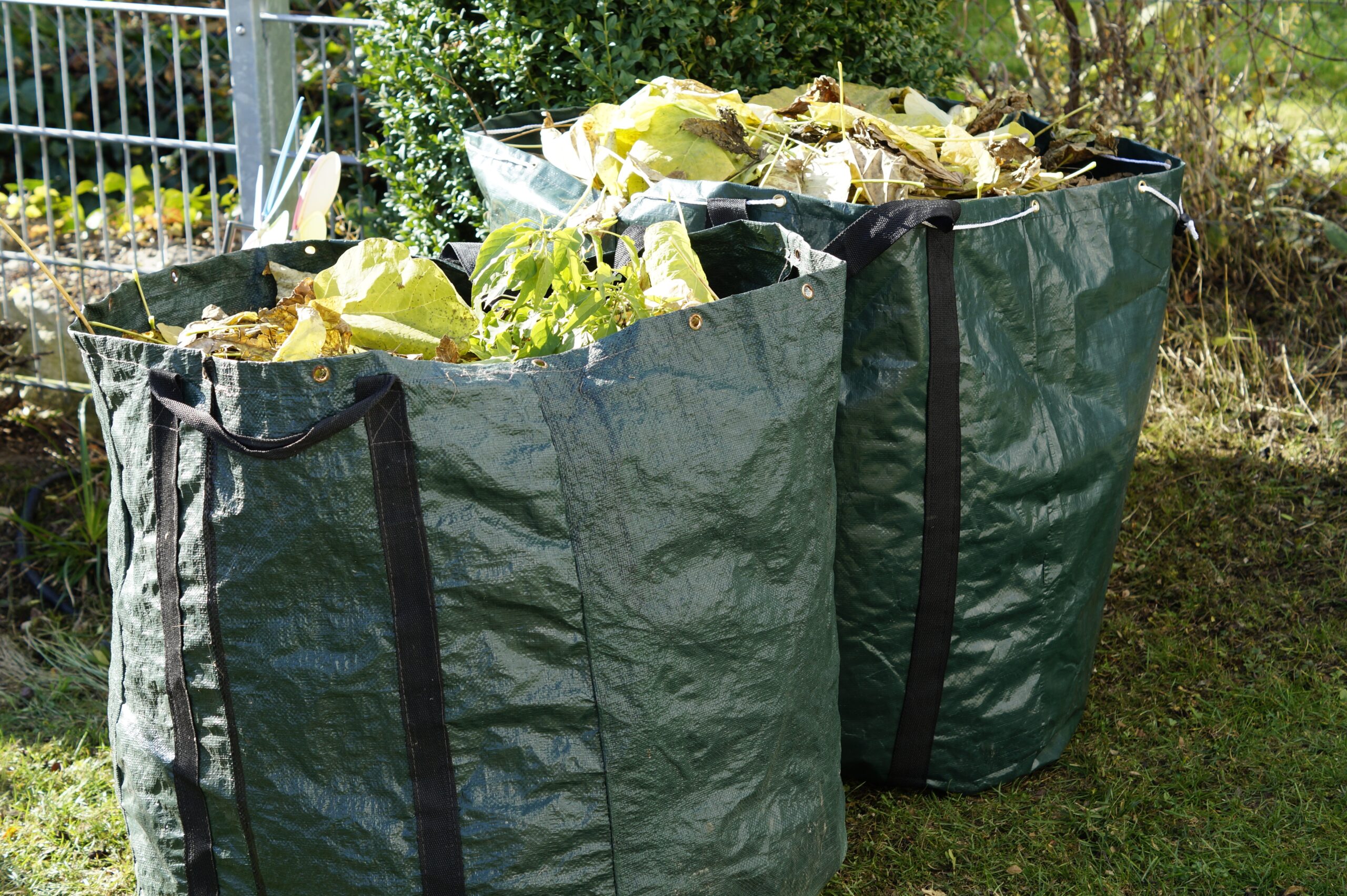 Services garden waste 1047259