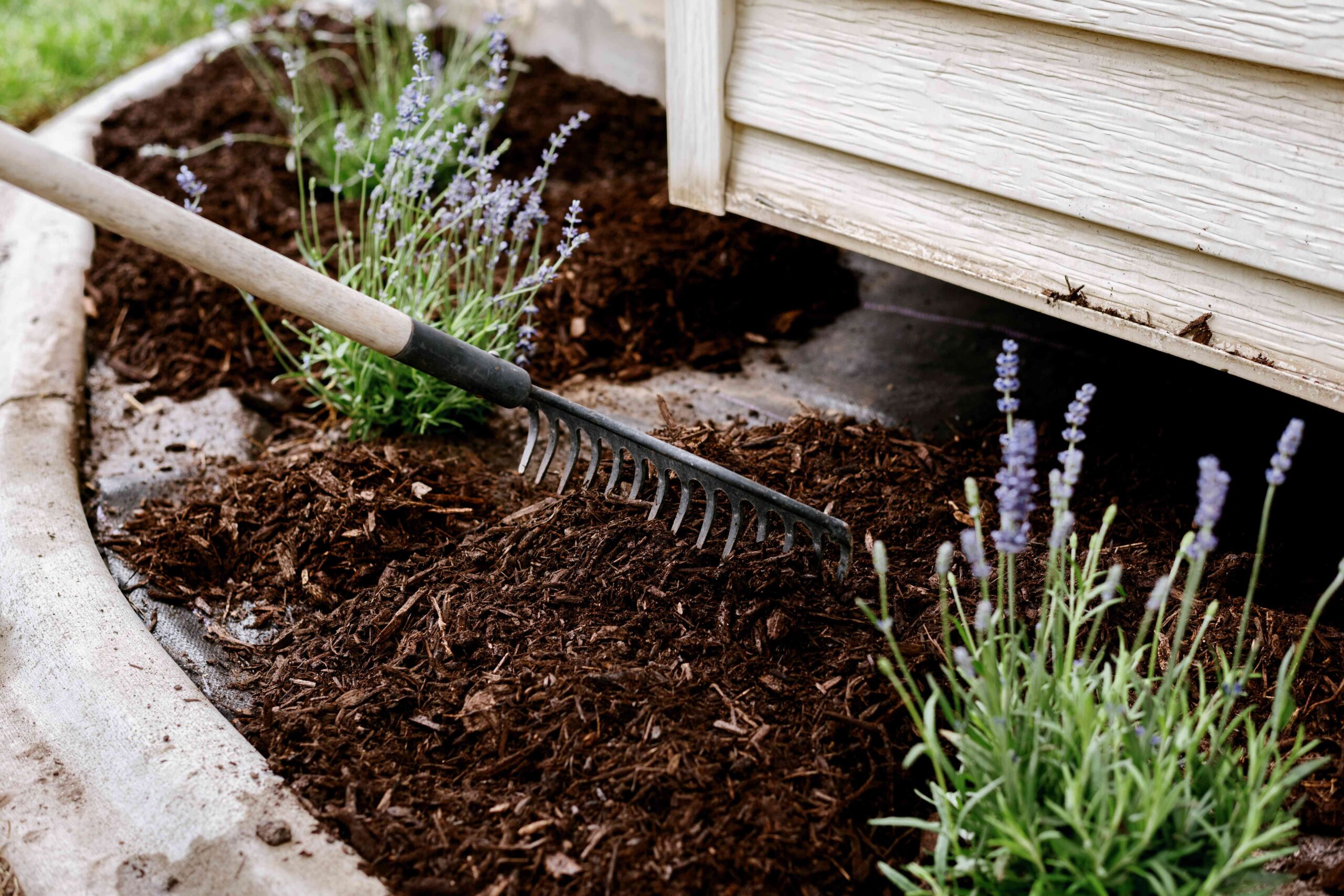 Services install landscape fabric for weed control 6a 5d90efbcfaf54a8f8af8361b2f99bc3d