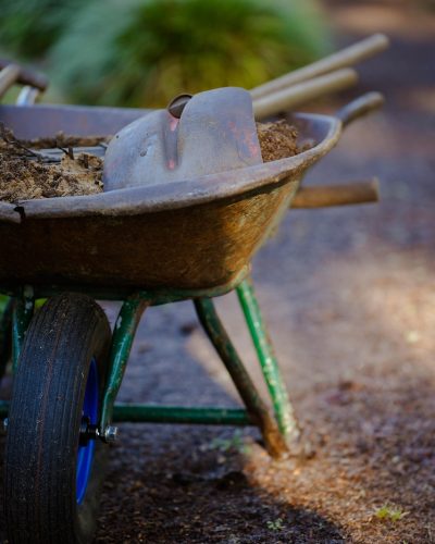 garden, gardening, wheelbarrow, plants, shovel, nature, potting soil